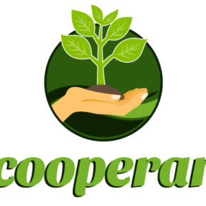 Cooperativa de Trabalho em Assessoria A Empresas Sociais de Assentamentos da Reforma Agraria - Cooperar