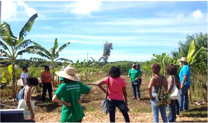 Imagem do Intercâmbio Local realizado em fevereiro de 2021: Visita à unidade de produção agroecológica Manu Manuela
